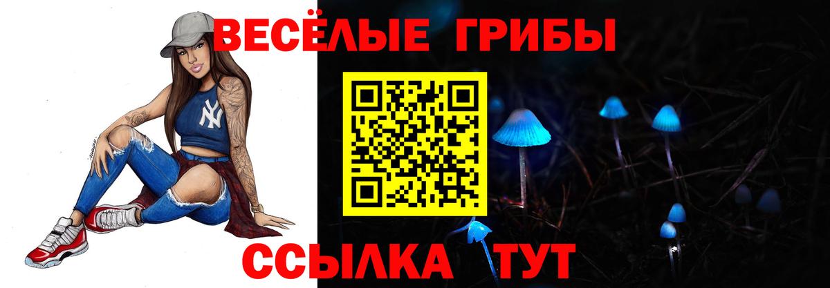 Галлюциногенные грибы Magic Shrooms Кузнецк