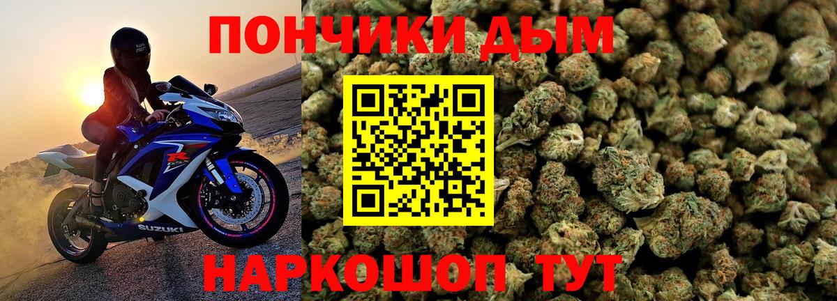 Конопля марихуана Кузнецк